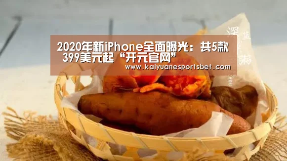 2020年新iPhone全面曝光:共5款 399美元起“开元官网”(图2) 开元登录